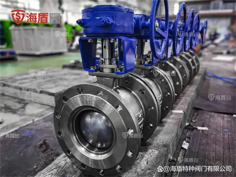 segment ball valve