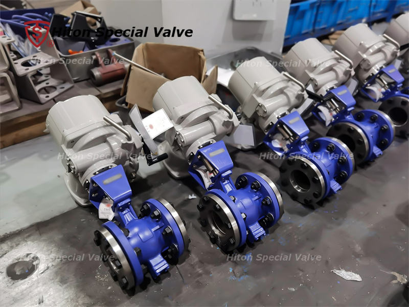 segment ball valve